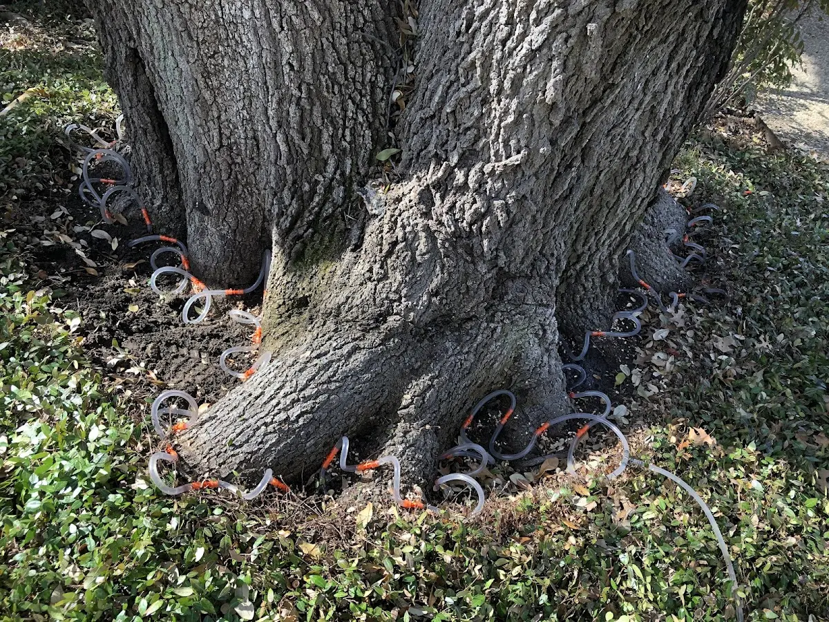 Detailed Shrub and Hedge Trimming job site in Pinebluff