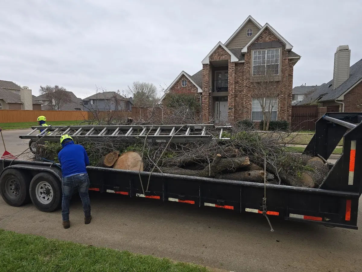 Expert Crown Reduction with proper safety equipment in Pinebluff